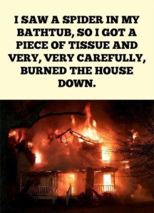 spider-burn-house-down